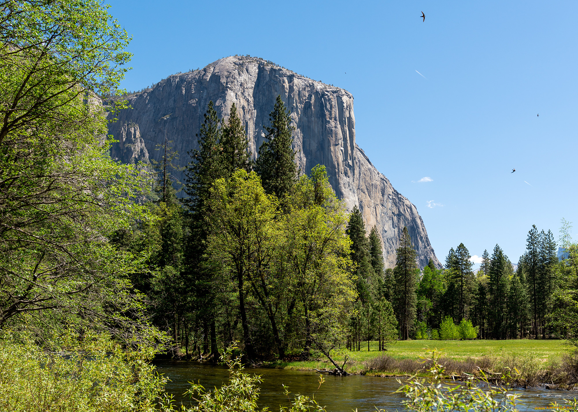 , , yosemite, national, park, 